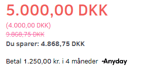 Skærmbillede: Anyday betalingsmulighed (betal over flere rater)
