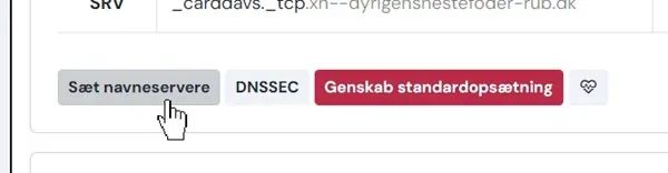 Knappen Sæt navneservere hos simply.com