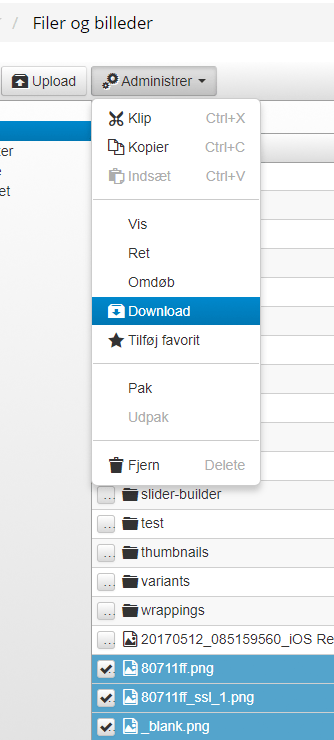 Skærmbillede: Download af billeder/filer