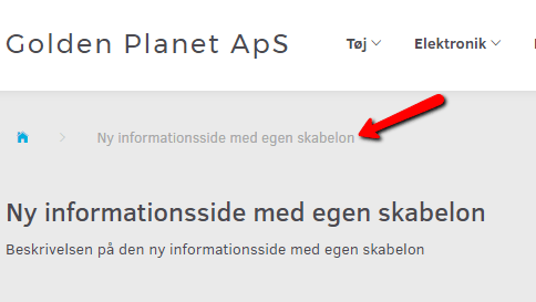 Skærmbillede: Hvad kan ændres i skabelonen?