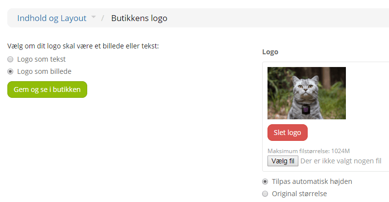Skærmbillede: Logo som billede